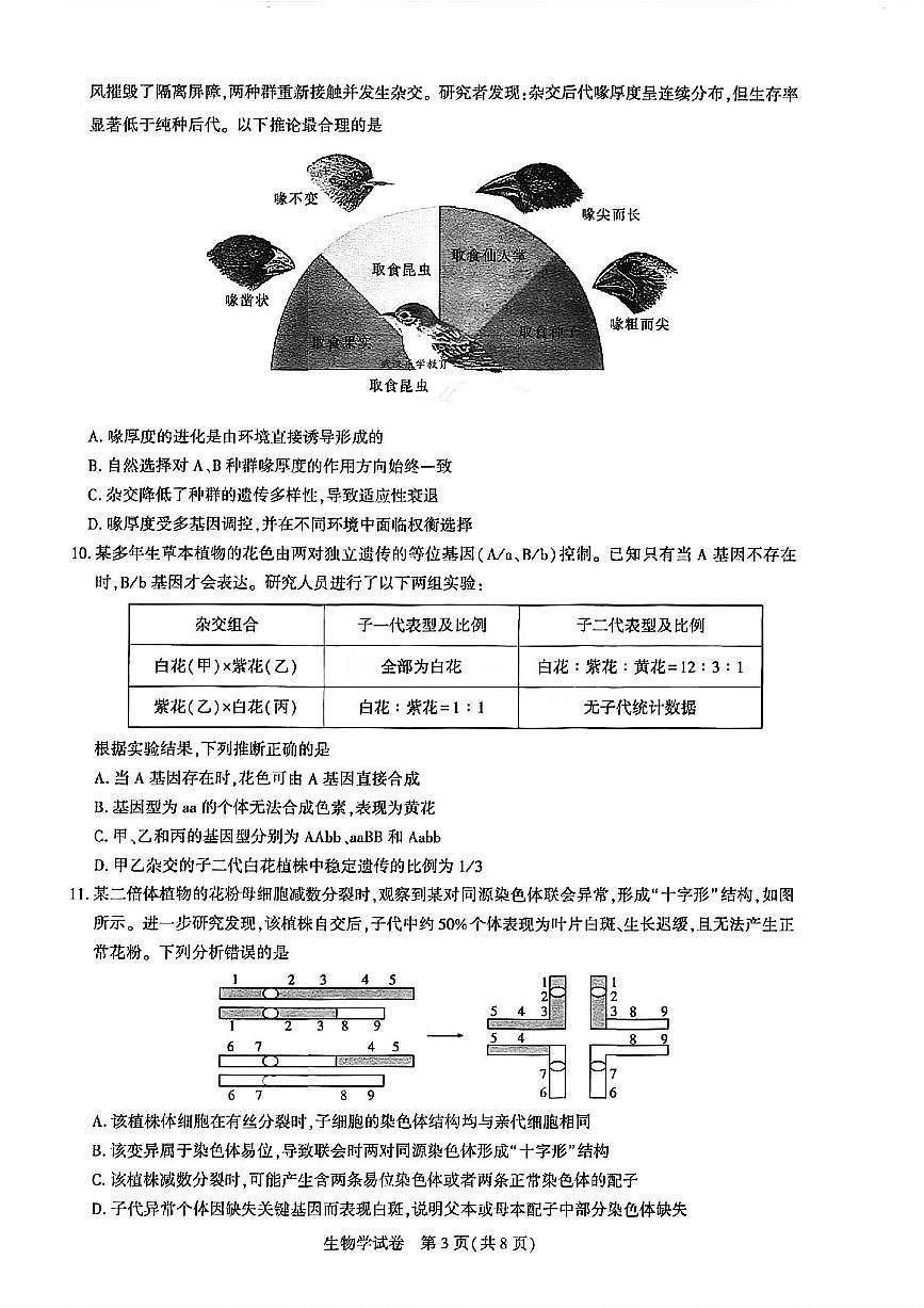 湖北省圆创联盟2025届年高三下学期3月考试联合测评-生物试题+答案第3页
