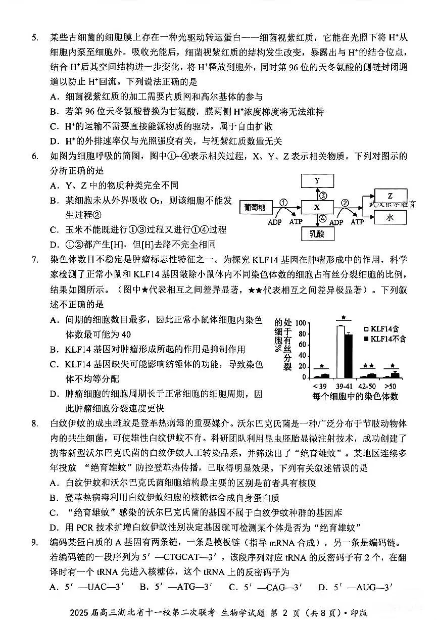 湖北省十一校2025届高三下学期3月考试第二次联考-生物试题+答案第2页