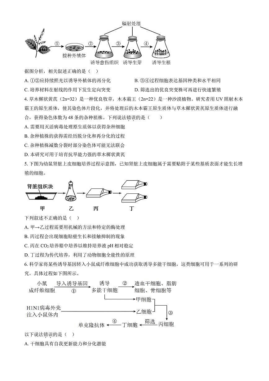2024北京人大附中高二（下）期中生物试卷（教师版）第2页