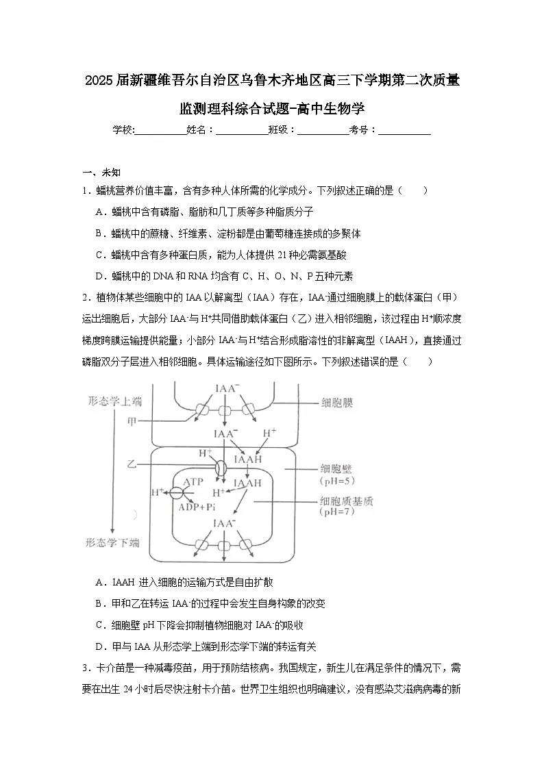 2025届新疆维吾尔自治区乌鲁木齐地区高三下学期第二次质量监测理科综合试题-高中生物学（无答案解析）第1页