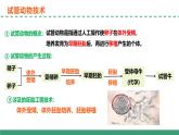 2.3 胚胎工程（第二课时）（教学课件）-2024-2025学年高二生物（人教版2019选择性必修3）
