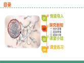 2.3 胚胎工程（第二课时）（教学课件）-2024-2025学年高二生物（人教版2019选择性必修3）