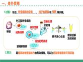 2.3 胚胎工程（第二课时）（教学课件）-2024-2025学年高二生物（人教版2019选择性必修3）