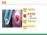 2.3 胚胎工程（第一课时）（教学课件）-2024-2025学年高二生物（人教版2019选择性必修3）