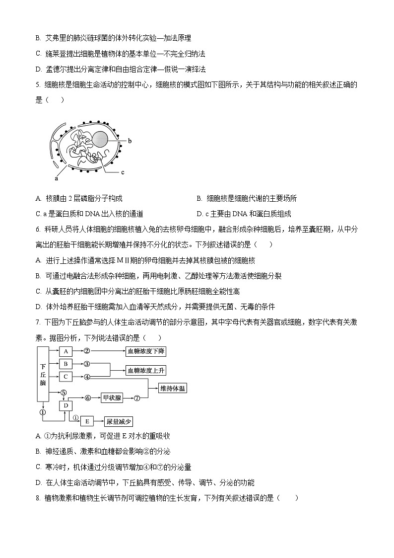 2024届广东省广州市第三中学高三下学期仿真模拟生物试题（原卷版+解析版）第2页