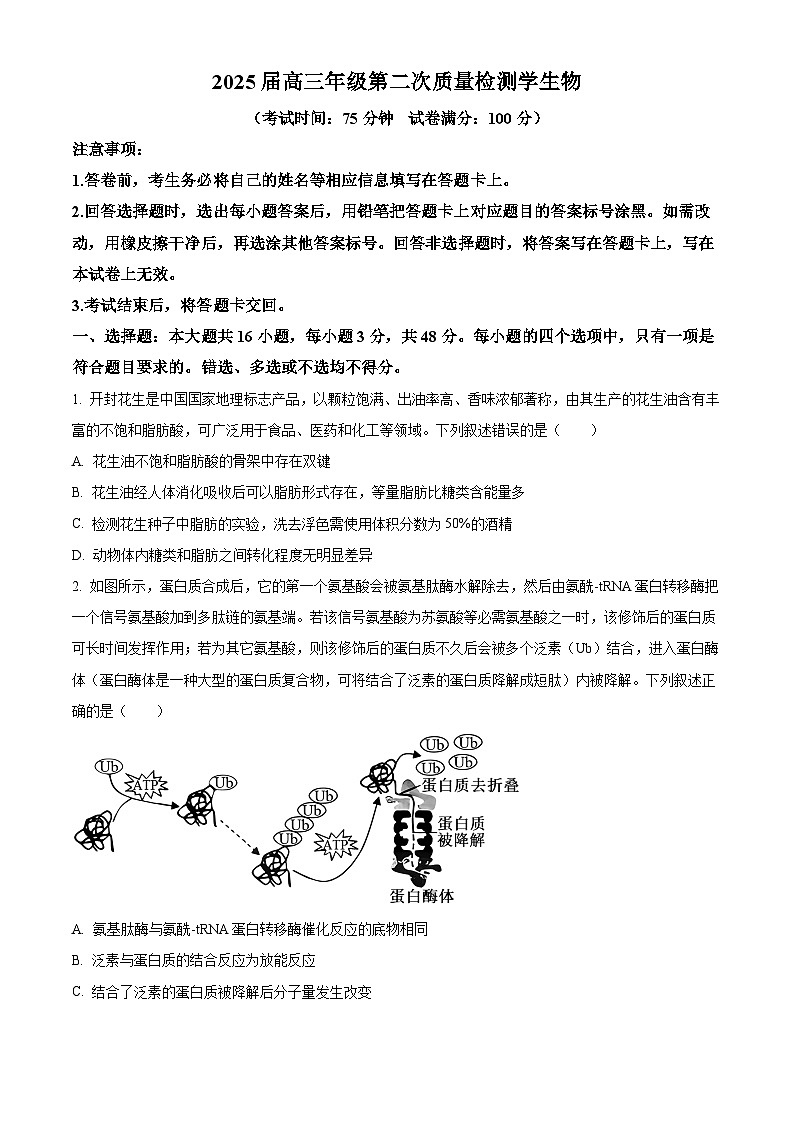 2025届河南省开封市等3地高三下学期二模生物试题（原卷版+解析版）第1页