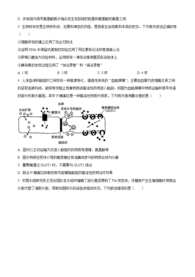 2025届河南省开封市等3地高三下学期二模生物试题（原卷版+解析版）第2页