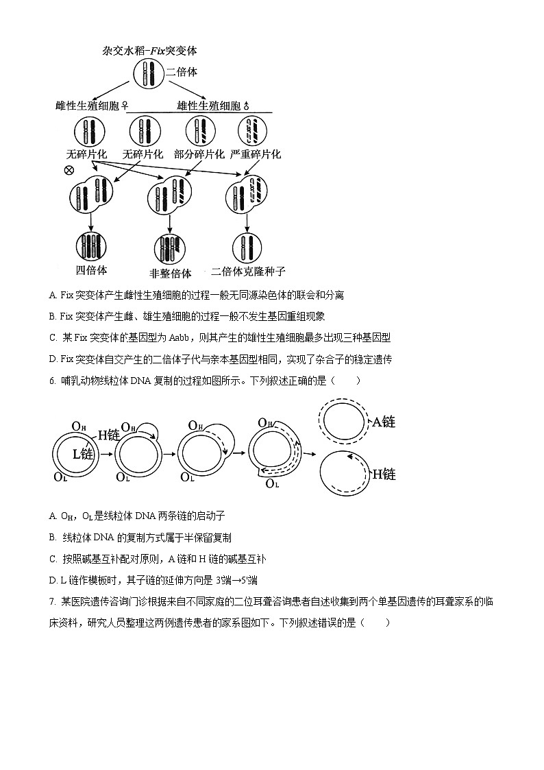 2025届河南省开封市等3地高三下学期二模生物试题（原卷版+解析版）第3页