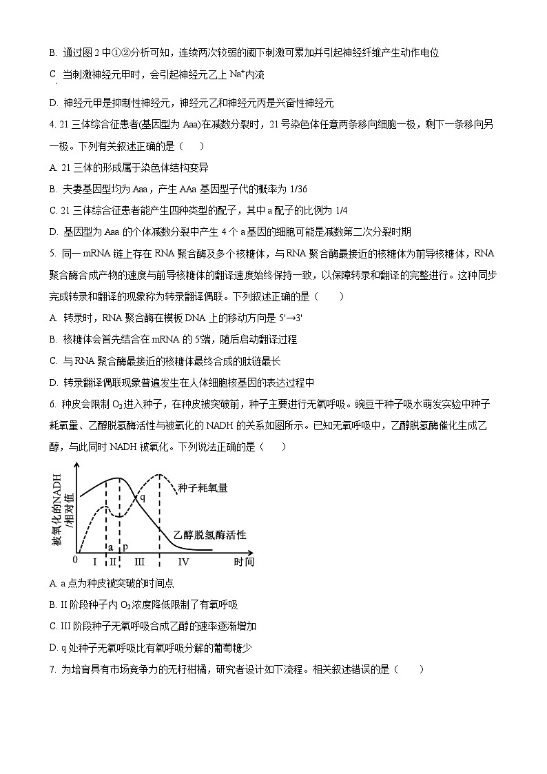 2025届湖南省长沙市天心区长沙市第十五中学高三下学期一模生物试题（原卷版+解析版）第2页