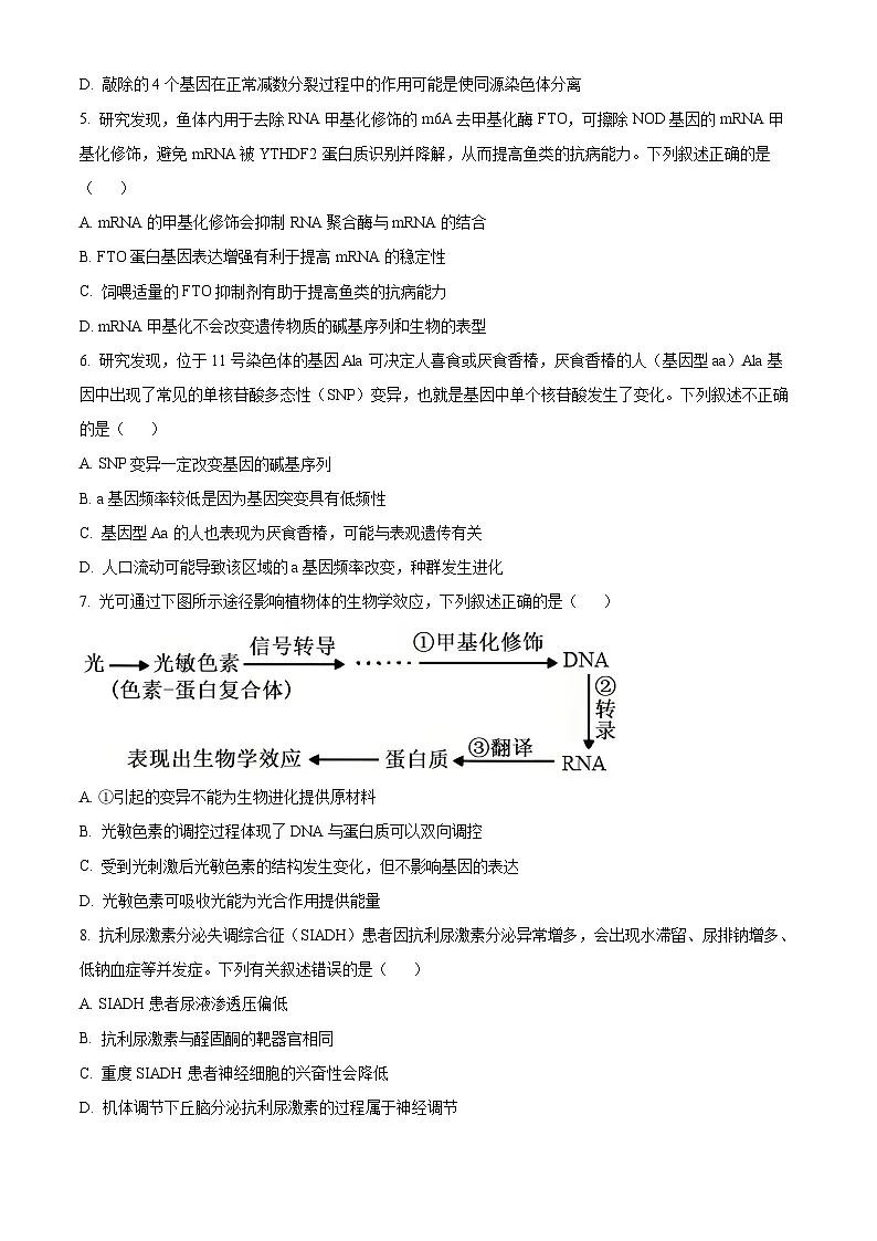 2025届天津市武清区杨村第一中学高三一模生物试题（原卷版+解析版）第2页
