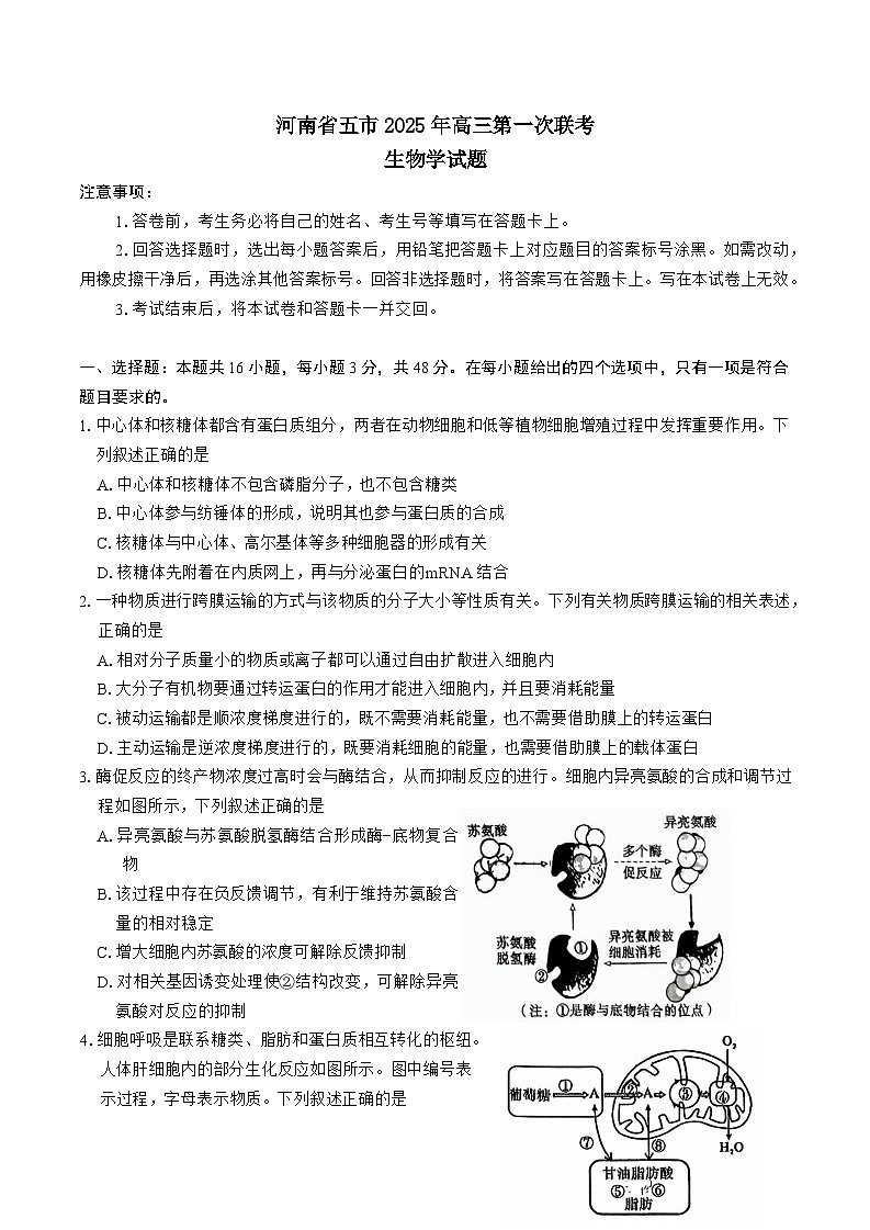 河南省驻马店、漯河、南阳、信阳、三门峡五市2025年高三下学期3月一模试题 生物 含答案第1页