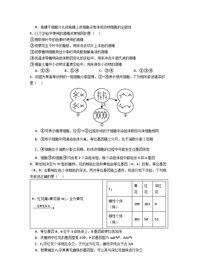 河南省驻马店市重点高中联考2025届高三下学期3月月考试题 生物 含答案第2页
