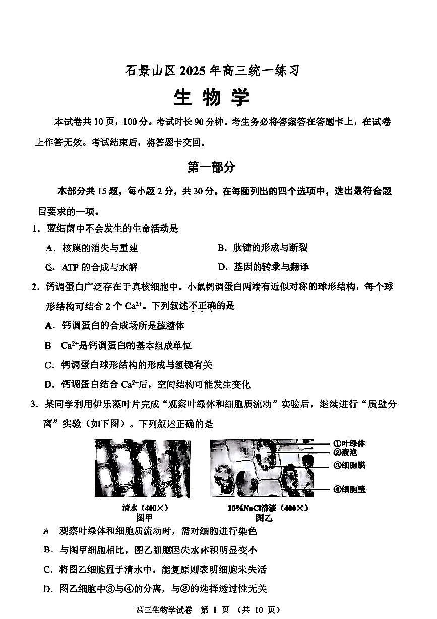 2025届北京市石景山区一模高三统一练习 生物试题+答案第1页