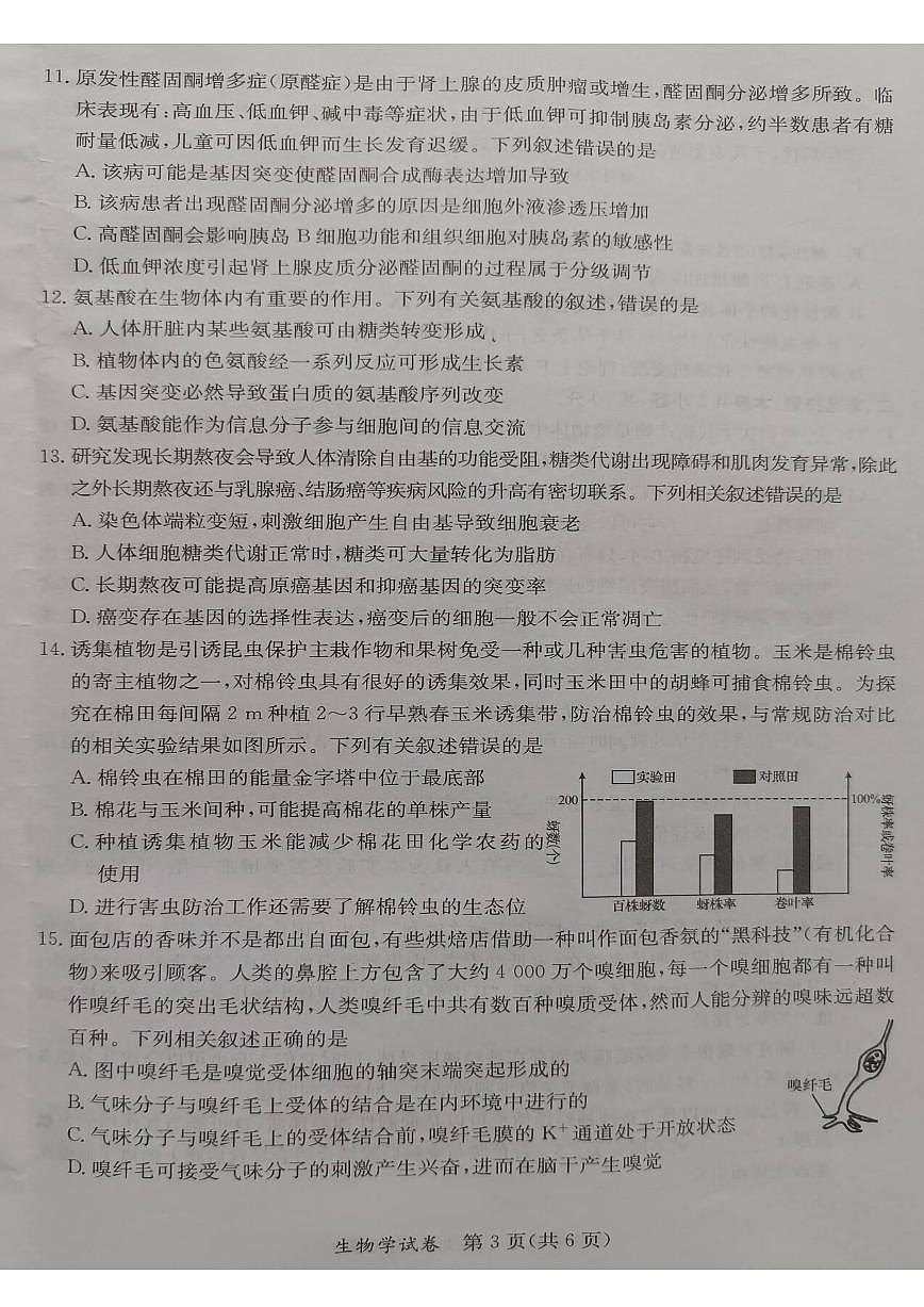2024届广西省桂林、来宾、北海高三三模试卷-生物（含答案）第3页