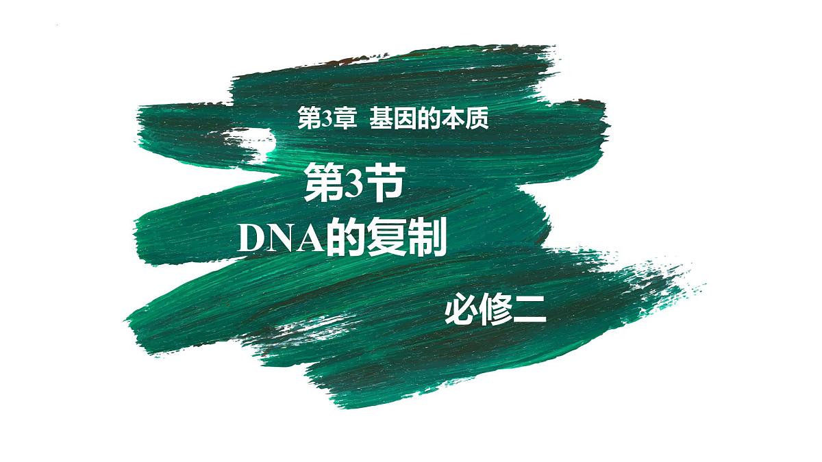 3.3 DNA的复制（精讲课件）-2024-2025学年高一生物（人教版2019必修2）第1页