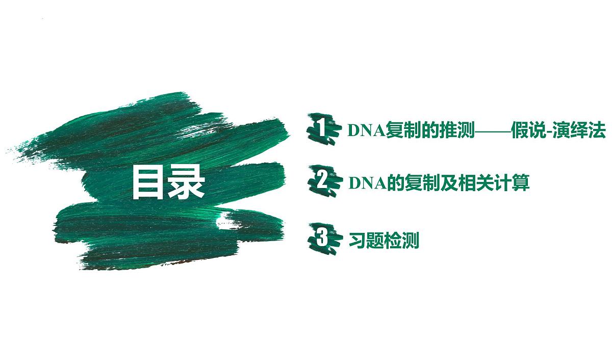 3.3 DNA的复制（精讲课件）-2024-2025学年高一生物（人教版2019必修2）第2页