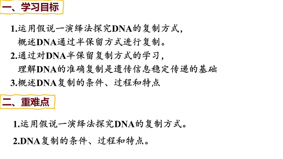 3.3 DNA的复制（精讲课件）-2024-2025学年高一生物（人教版2019必修2）第3页
