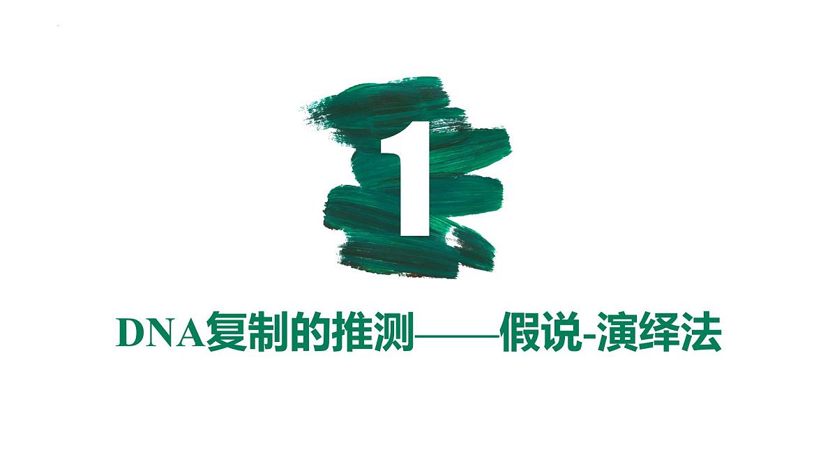 3.3 DNA的复制（精讲课件）-2024-2025学年高一生物（人教版2019必修2）第4页