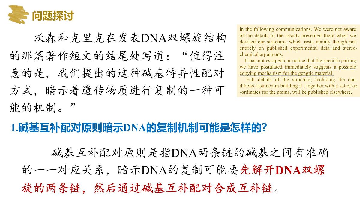 3.3 DNA的复制（精讲课件）-2024-2025学年高一生物（人教版2019必修2）第5页