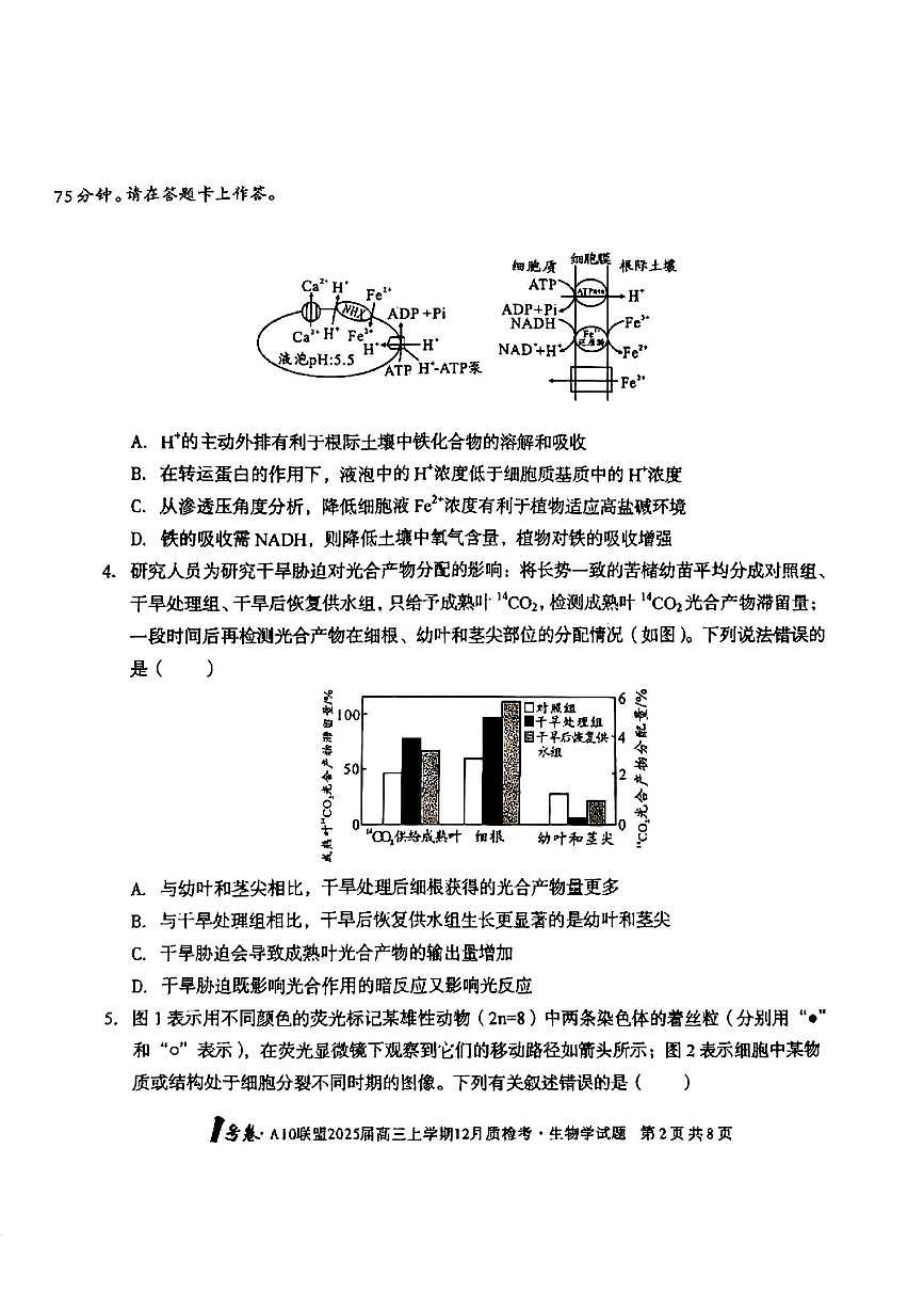 安徽A10联盟2025届高三12月联考生物试题+答案第2页