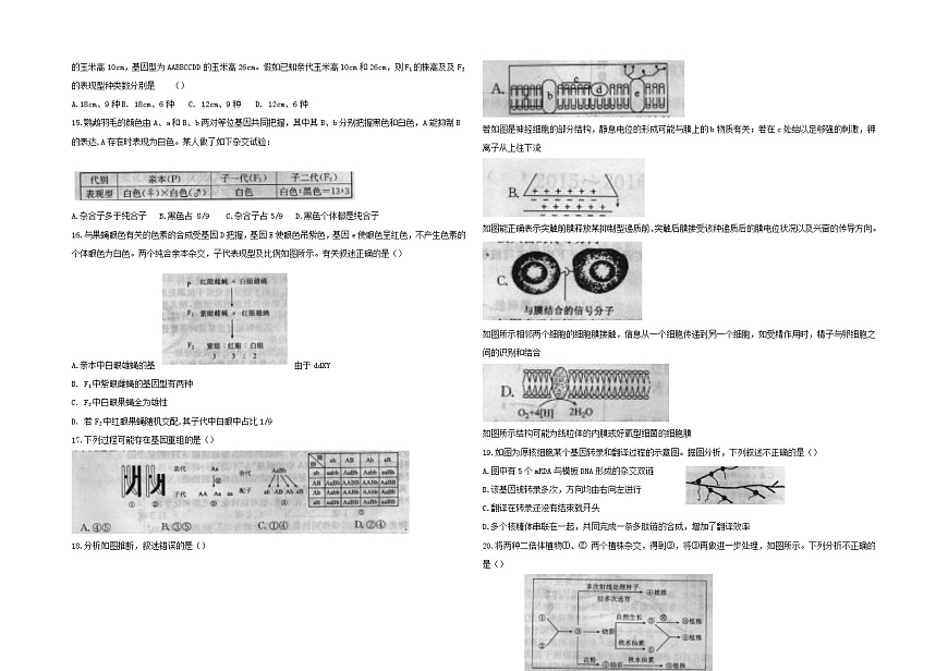 河北省衡水中学2022届高三上学期五调考试生物试题-Word版含答案第3页