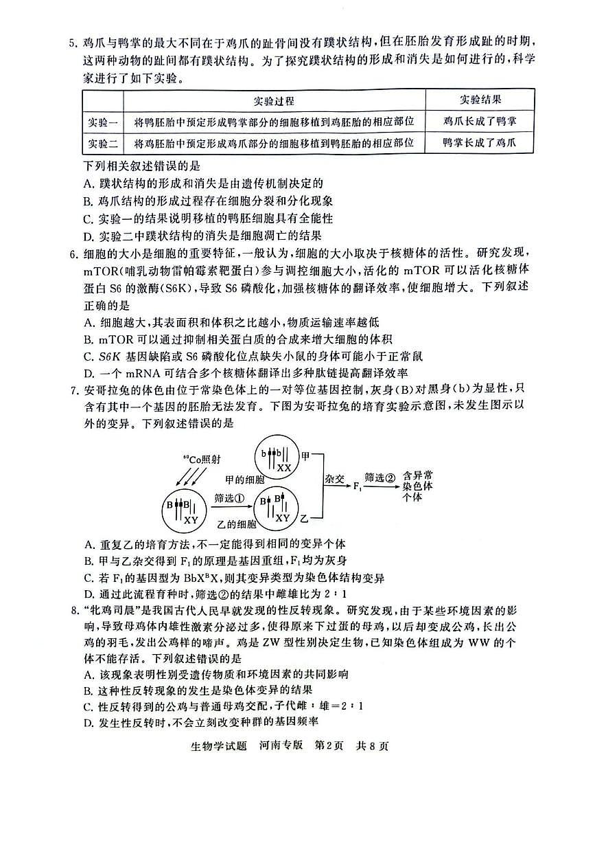 2025届高三部分重点中学下学期高考模拟联合测评(T8联考)生物试卷（河南版，含答案）第2页