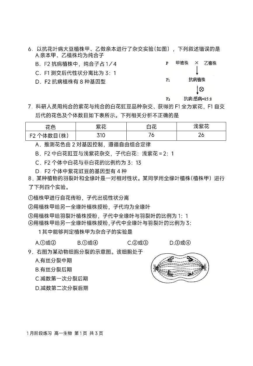 2025北京一六一中高一(下)3月月考生物试卷（教师版）第3页