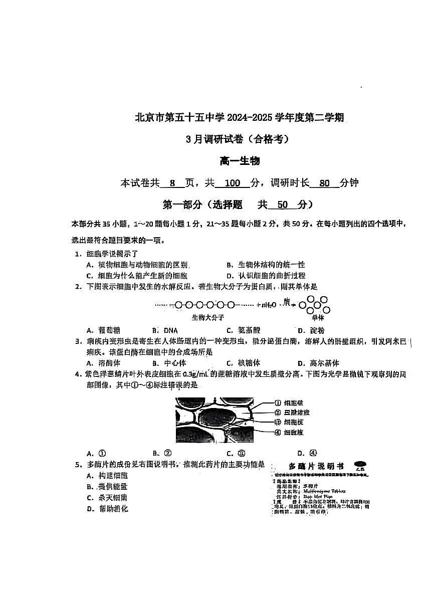 2025北京五十五中高一(下)3月月考生物（合格考）试卷第1页