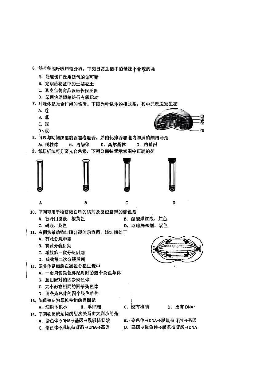 2025北京五十五中高一(下)3月月考生物（合格考）试卷第2页