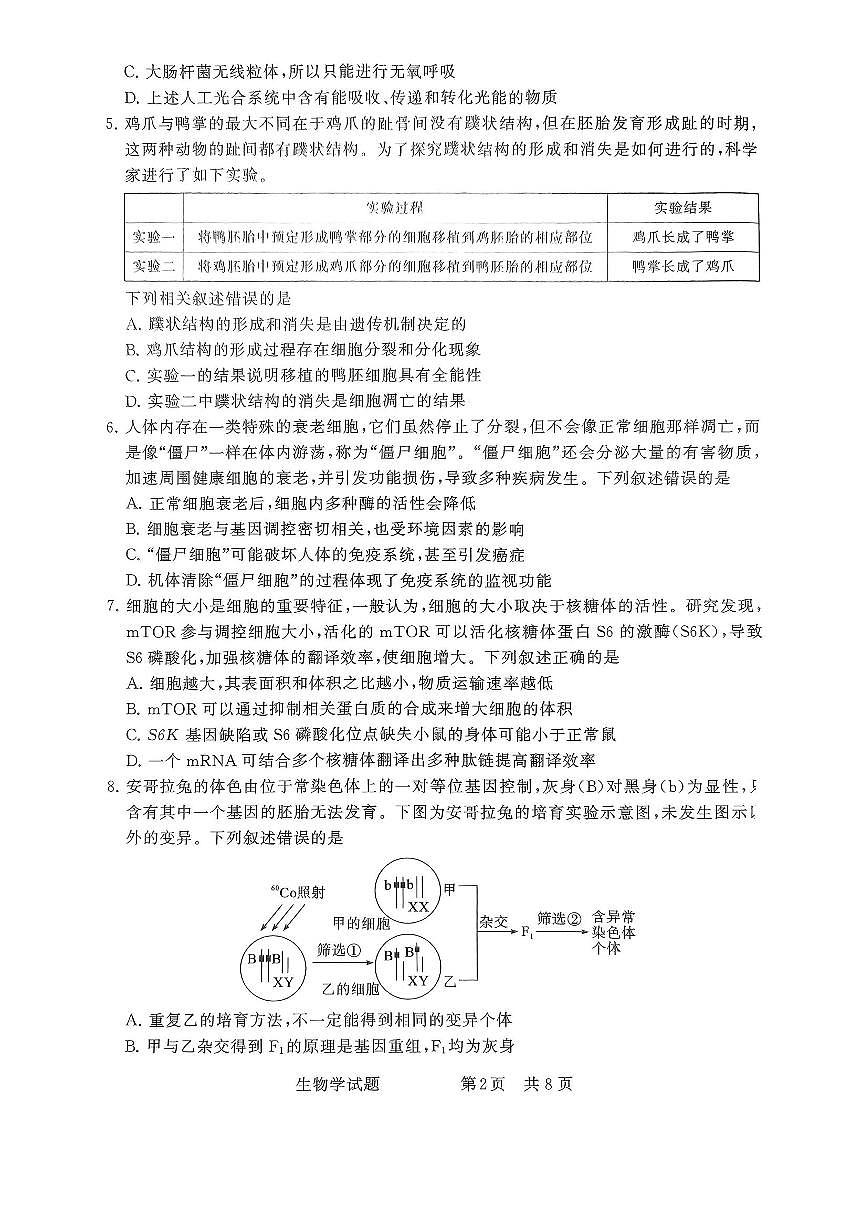 全国部分重点中学T8联考2025届高三高考模拟第二次模拟-生物试题+答案第2页
