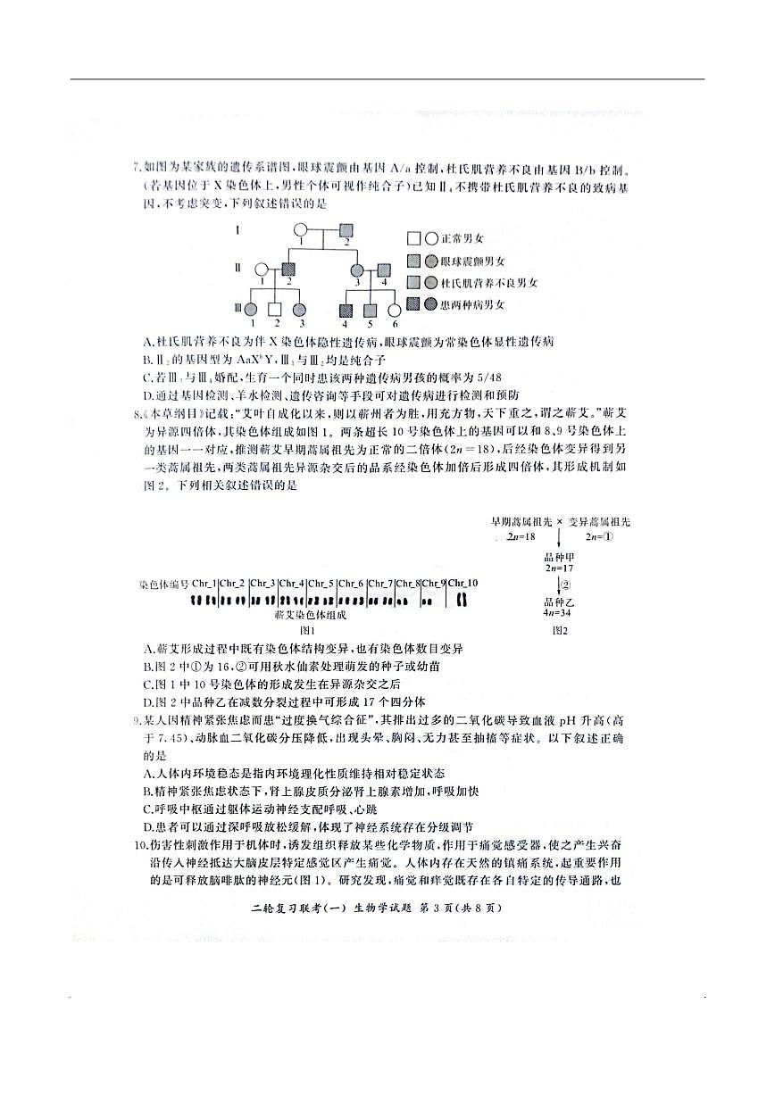 百师联盟2025届高三高考二轮专题复习联考（一）-生物（A）试题+答案第3页