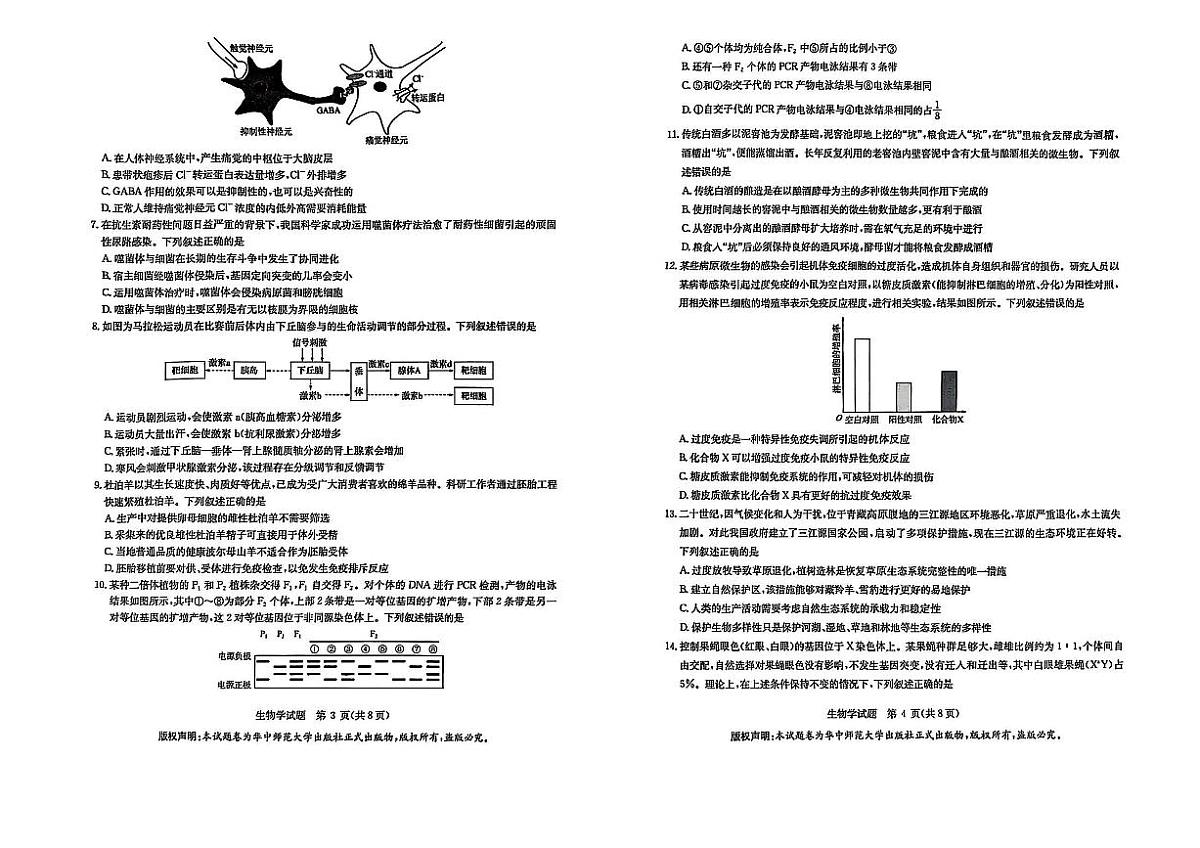 华大新高考联盟2025届高三下学期3月考教学质量测评-生物试题+答案第2页