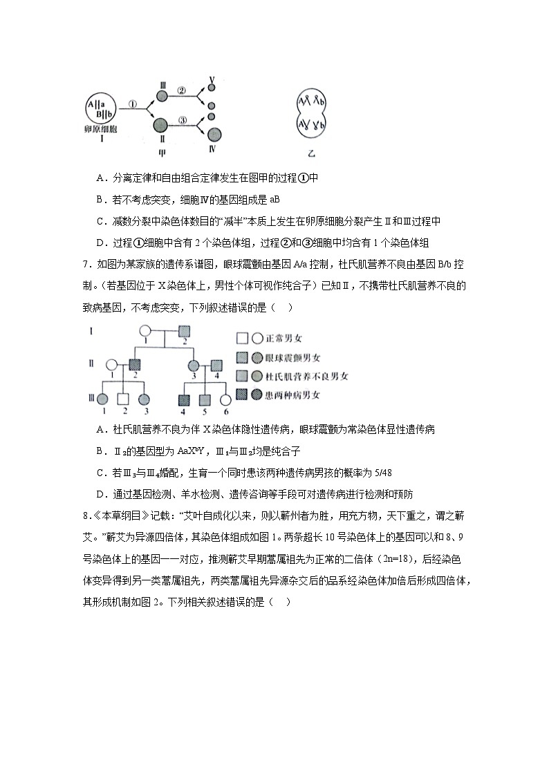 河南省部分学校2024-2025学年高三下学期3月联考生物试题（无答案解析）第3页