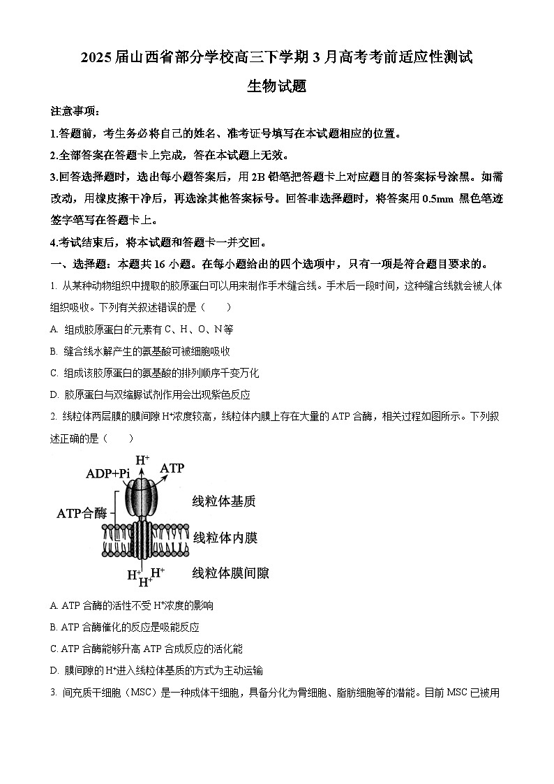 2025届山西省部分学校高三下学期3月高考考前适应性测试生物试题（原卷版+解析版）第1页