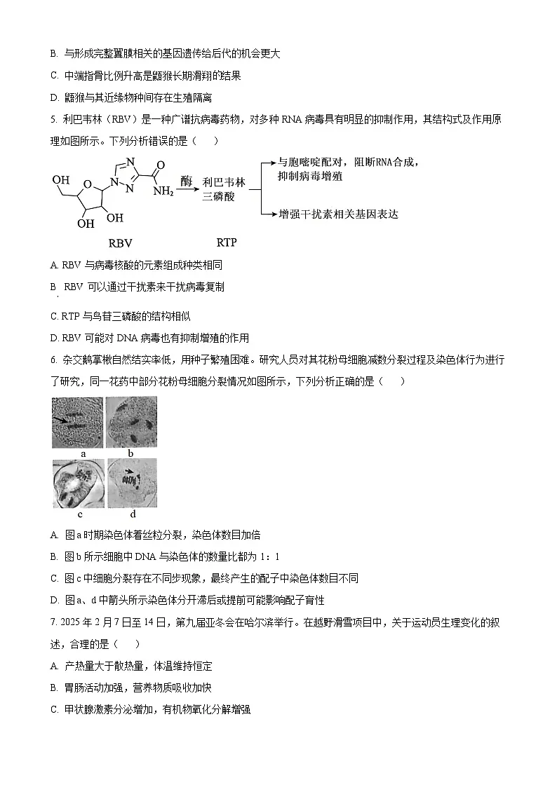 2025届河北省唐山市普通高中学业水平选择性考试第一次模拟演练生物试题（原卷版+解析版）第2页