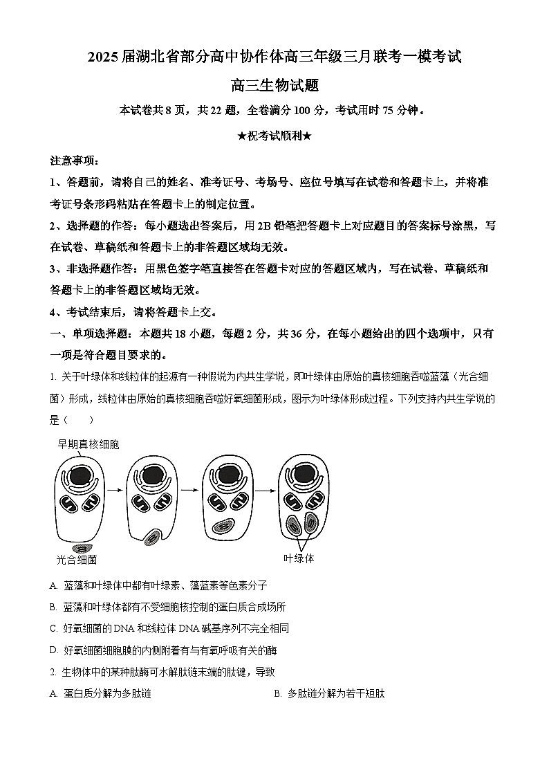 2025届湖北省部分高中协作体高三三月联考一模生物试题（原卷版+解析版）第1页