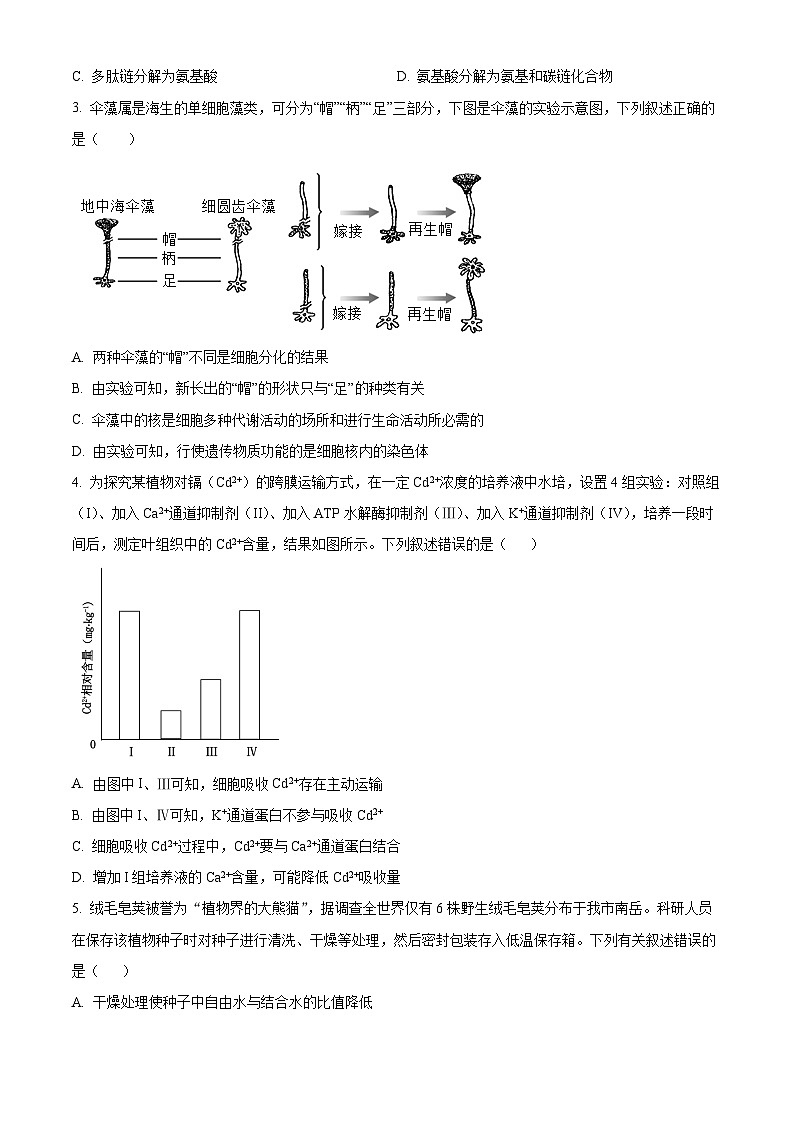 2025届湖北省部分高中协作体高三三月联考一模生物试题（原卷版+解析版）第2页
