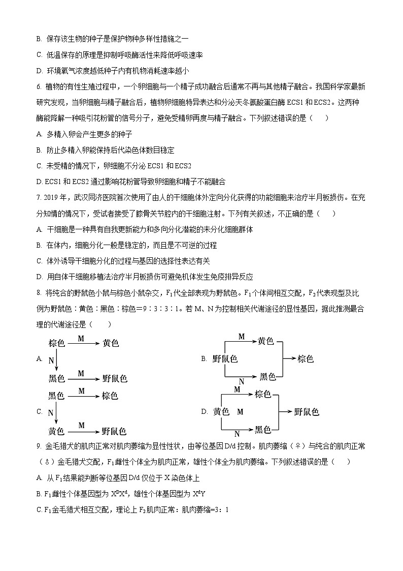 2025届湖北省部分高中协作体高三三月联考一模生物试题（原卷版+解析版）第3页