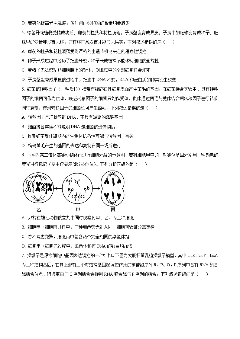 2025届河北省沧州市沧衡八县联考一模生物试题（原卷版+解析版）第2页