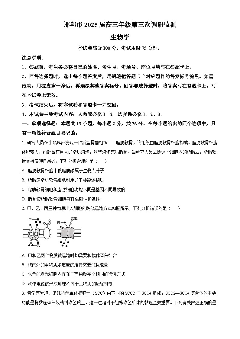 2025届河北省邯郸市沧衡八县联考一模生物试题（原卷版+解析版）第1页