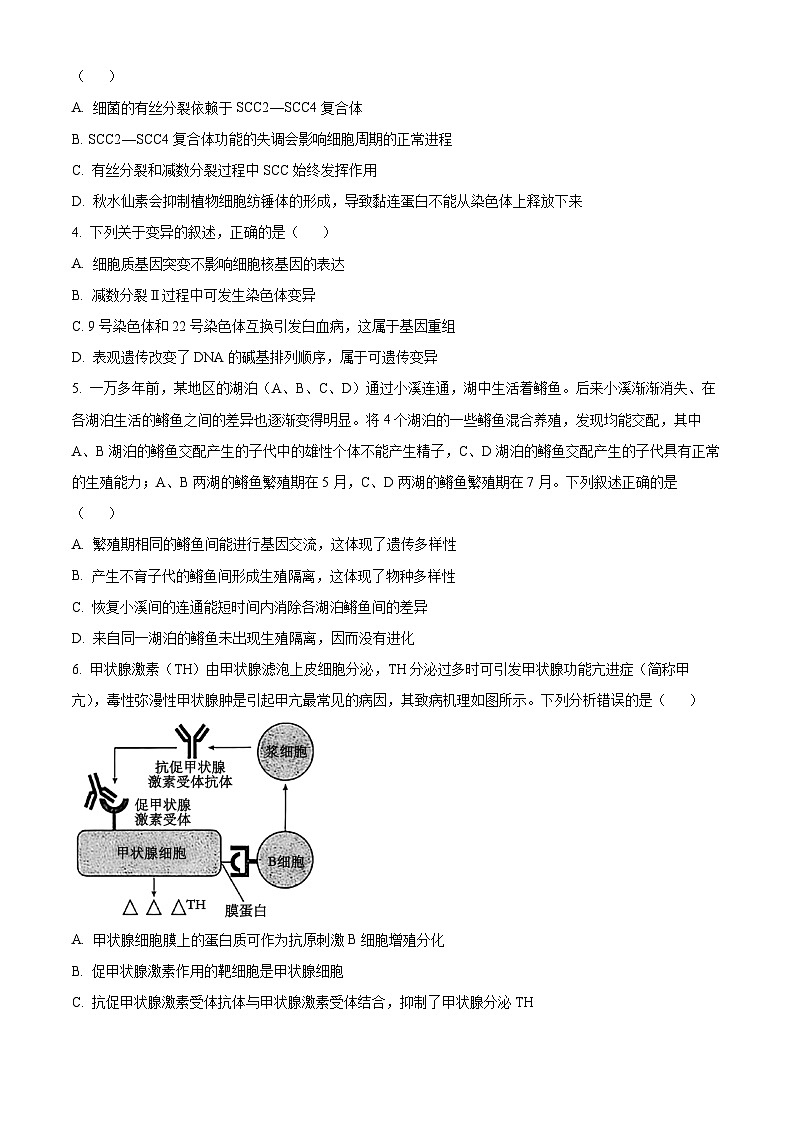2025届河北省邯郸市沧衡八县联考一模生物试题（原卷版+解析版）第2页