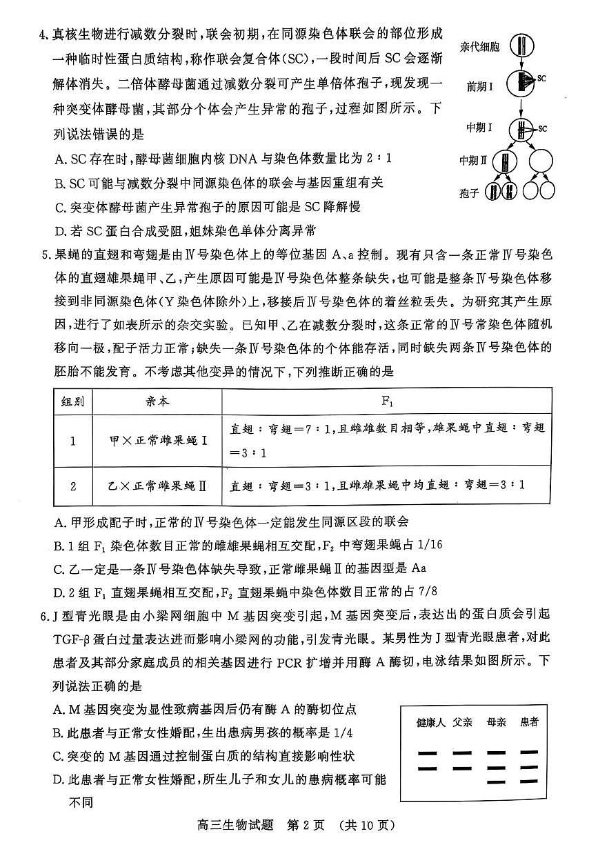 山东省名校考试联盟2024-2025学年高三下学期3月高考模拟考试生物试题 第2页