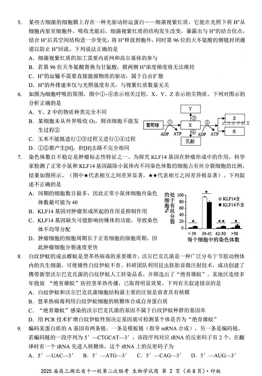 湖北十一校第二次联考生物试卷第2页