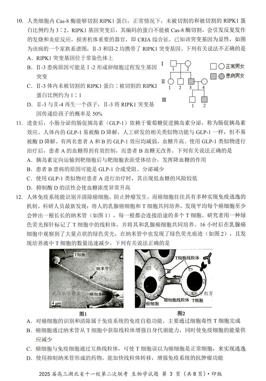 湖北十一校第二次联考生物试卷第3页