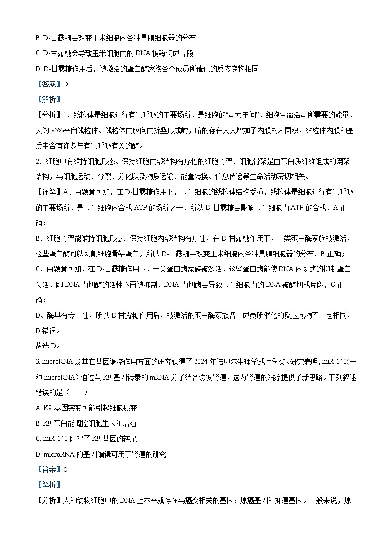 四川省乐山市第一中学2025届高三下学期3月二模试题 生物 含解析第2页