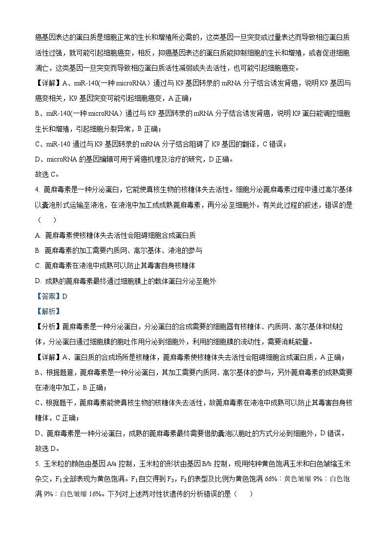 四川省乐山市第一中学2025届高三下学期3月二模试题 生物 含解析第3页