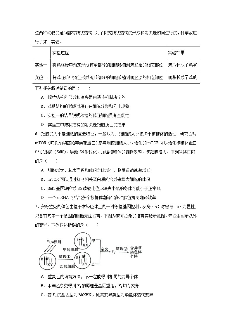 2025届河南省部分重点中学高三下学期3月联合测评生物试卷（无答案）第2页