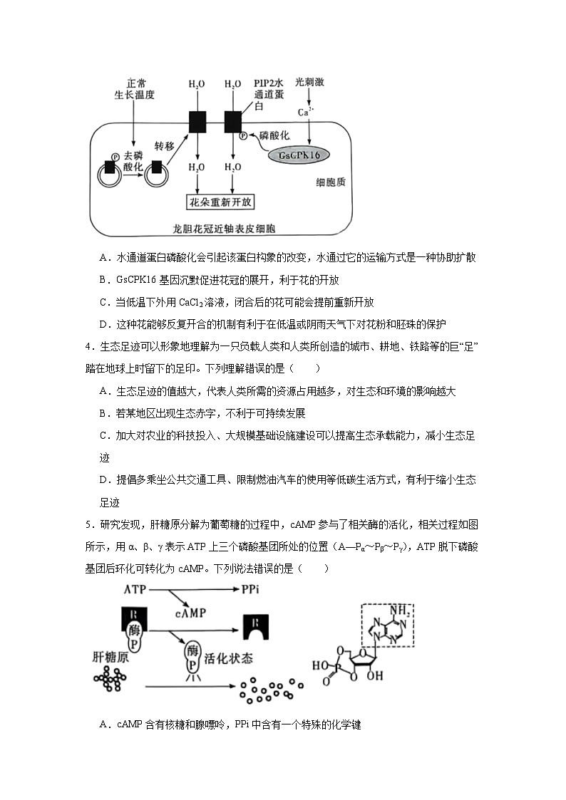 2025届湖南省郴州市高三第三次教学质量监测（市三模）生物试题（无答案）第2页
