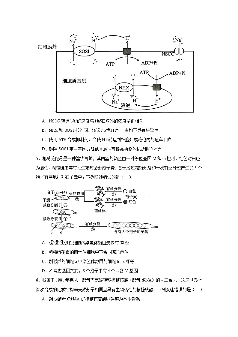 2025届云南省昆明市高三”三诊一模2“生物试题（无答案）第2页