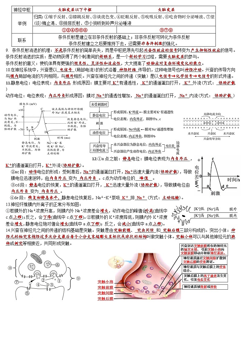 2025年高考生物一轮复习：人教版（2019）选择性必修1~3必背知识考点提纲汇编 学案第2页